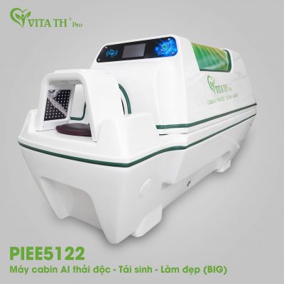 BIG – Cabin AI thải độc (demo)