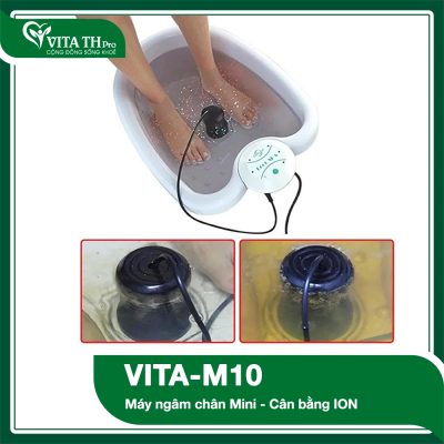 Vita M10 – Máy ngâm chân cân bằng i-on mini